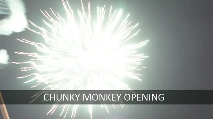 Fireworks Display