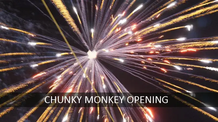 Fireworks Display